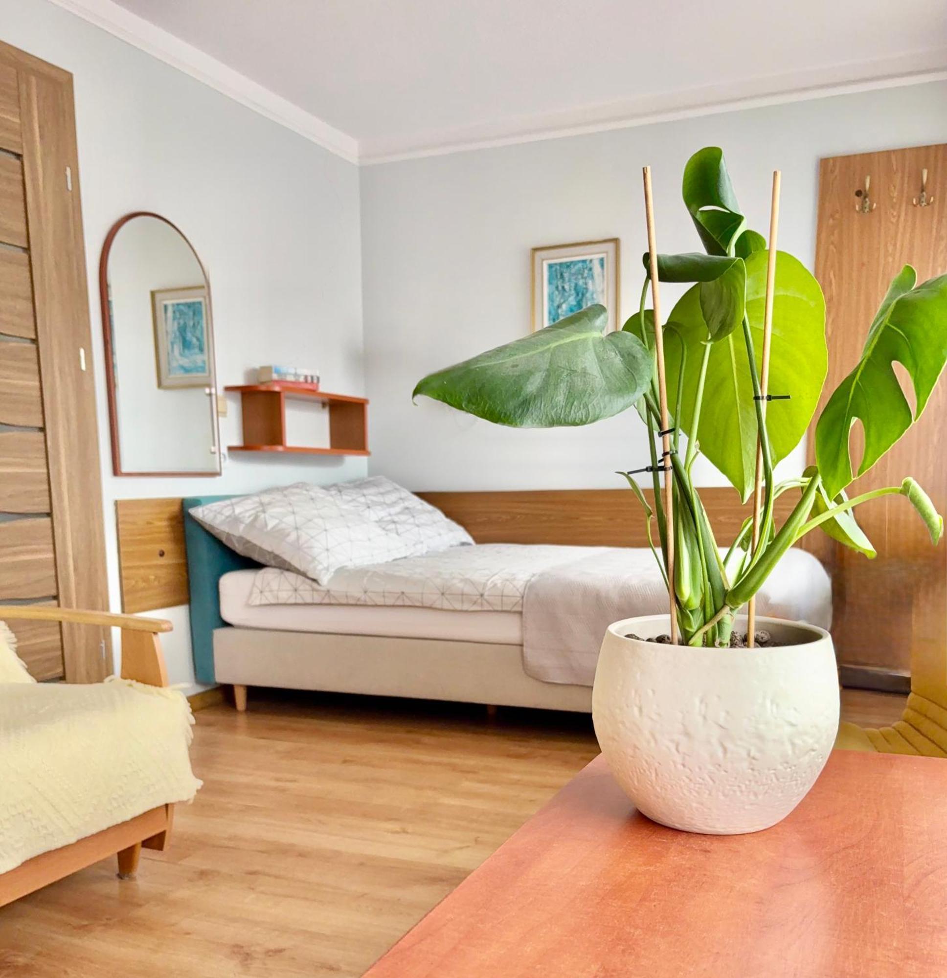 Bed and Breakfast Fonica Łeba Exterior foto